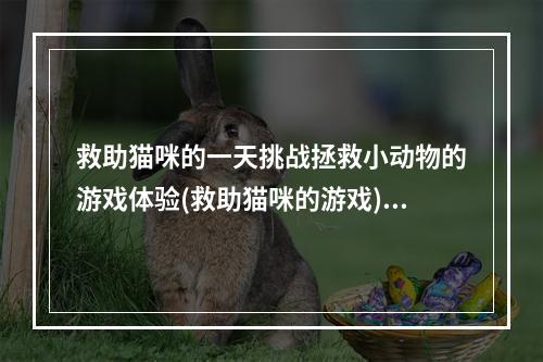 救助猫咪的一天挑战拯救小动物的游戏体验(救助猫咪的游戏)(小猫咪的营救计划用智慧和技能拯救无辜生命(营救小猫咪的游戏))