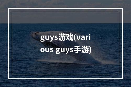 guys游戏(various guys手游)