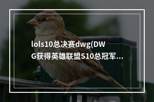 lols10总决赛dwg(DWG获得英雄联盟S10总冠军 DWG以3 1战胜SN获得2020)