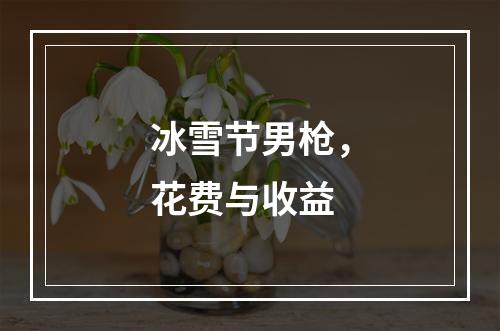 冰雪节男枪，花费与收益