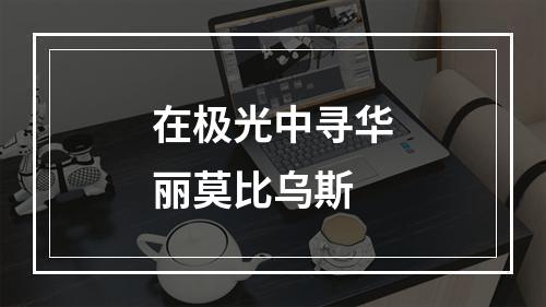 在极光中寻华丽莫比乌斯