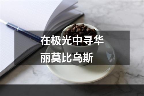 在极光中寻华丽莫比乌斯