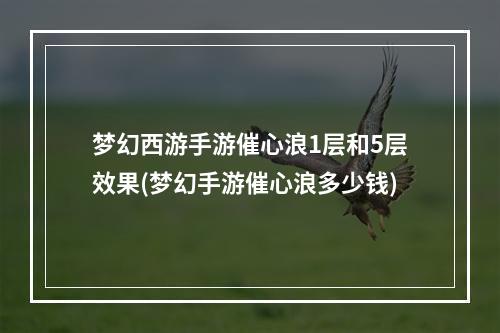 梦幻西游手游催心浪1层和5层效果(梦幻手游催心浪多少钱)