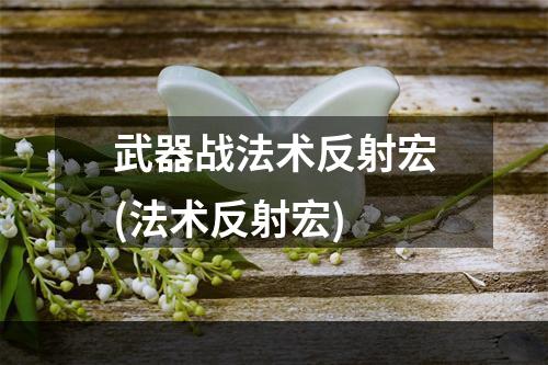 武器战法术反射宏(法术反射宏)