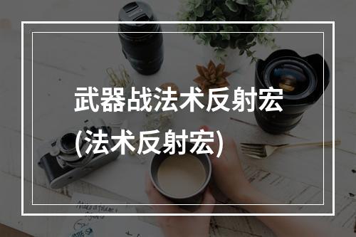 武器战法术反射宏(法术反射宏)