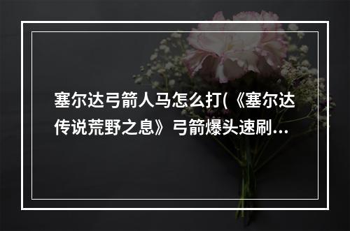 塞尔达弓箭人马怎么打(《塞尔达传说荒野之息》弓箭爆头速刷人马教学及实战)