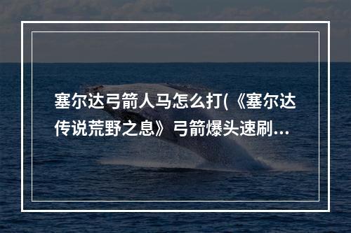 塞尔达弓箭人马怎么打(《塞尔达传说荒野之息》弓箭爆头速刷人马教学及实战)