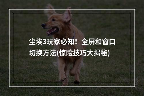 尘埃3玩家必知！全屏和窗口切换方法(惊险技巧大揭秘)