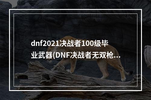 dnf2021决战者100级毕业武器(DNF决战者无双枪术有白字么 DNF决战者无双枪术伤害高)