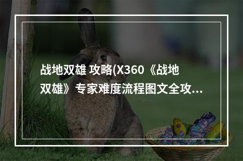 战地双雄 攻略(X360《战地双雄》专家难度流程图文全攻略)