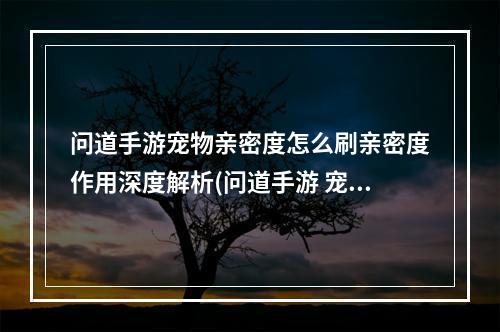 问道手游宠物亲密度怎么刷亲密度作用深度解析(问道手游 宠物亲密度)