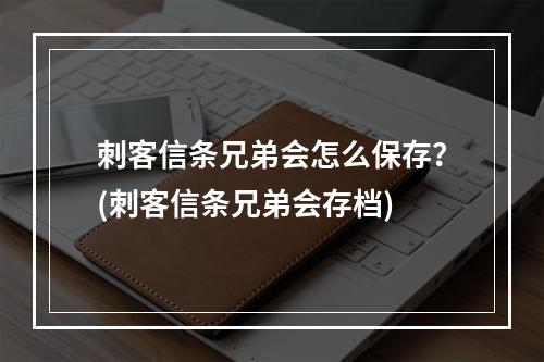 刺客信条兄弟会怎么保存？(刺客信条兄弟会存档)