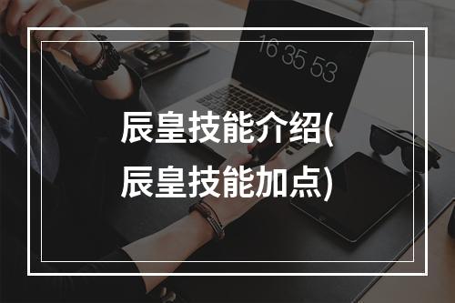 辰皇技能介绍(辰皇技能加点)