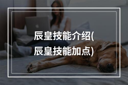 辰皇技能介绍(辰皇技能加点)