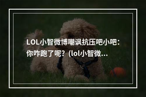 LOL小智微博嘲讽抗压吧小吧：你咋跑了呢？(lol小智微博)