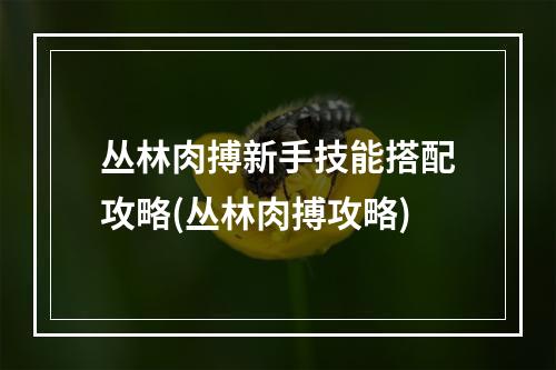 丛林肉搏新手技能搭配攻略(丛林肉搏攻略)