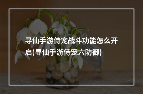 寻仙手游侍宠战斗功能怎么开启(寻仙手游侍宠六防御)