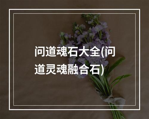 问道魂石大全(问道灵魂融合石)