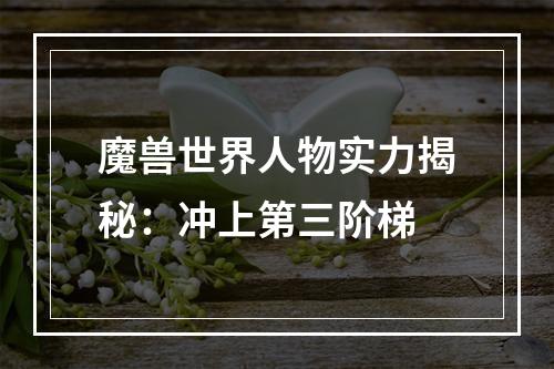 魔兽世界人物实力揭秘：冲上第三阶梯