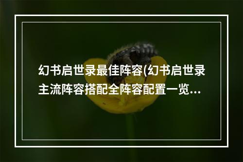 幻书启世录最佳阵容(幻书启世录主流阵容搭配全阵容配置一览)