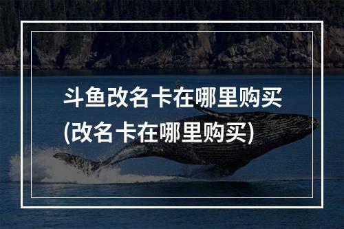 斗鱼改名卡在哪里购买(改名卡在哪里购买)