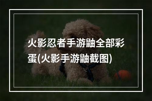 火影忍者手游鼬全部彩蛋(火影手游鼬截图)