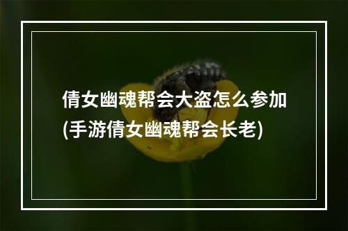 倩女幽魂帮会大盗怎么参加(手游倩女幽魂帮会长老)