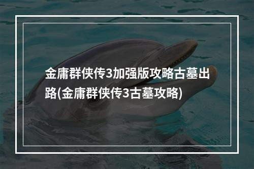 金庸群侠传3加强版攻略古墓出路(金庸群侠传3古墓攻略)