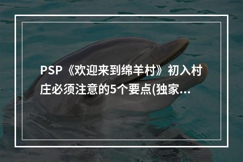 PSP《欢迎来到绵羊村》初入村庄必须注意的5个要点(独家攻略)(玩家必读！PSP《欢迎来到绵羊村》隐藏任务攻略曝光！)