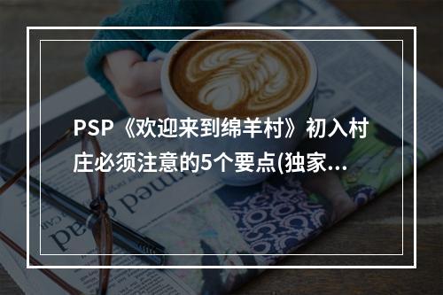 PSP《欢迎来到绵羊村》初入村庄必须注意的5个要点(独家攻略)(玩家必读！PSP《欢迎来到绵羊村》隐藏任务攻略曝光！)