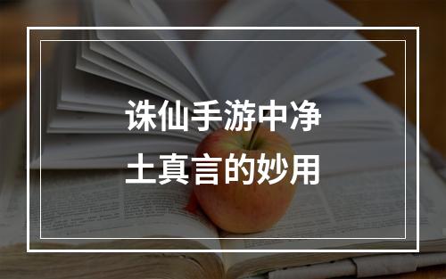 诛仙手游中净土真言的妙用