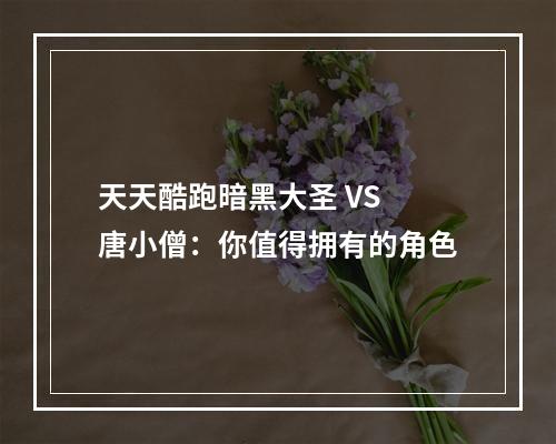 天天酷跑暗黑大圣 VS 唐小僧：你值得拥有的角色