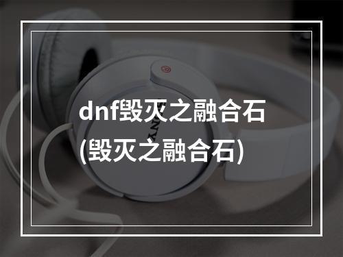 dnf毁灭之融合石(毁灭之融合石)