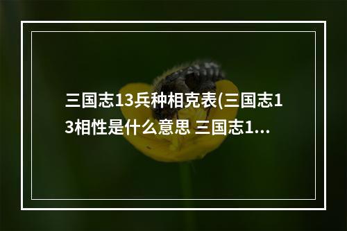 三国志13兵种相克表(三国志13相性是什么意思 三国志13相性有什么用)