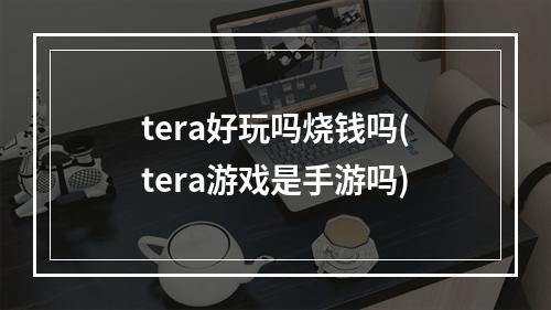 tera好玩吗烧钱吗(tera游戏是手游吗)