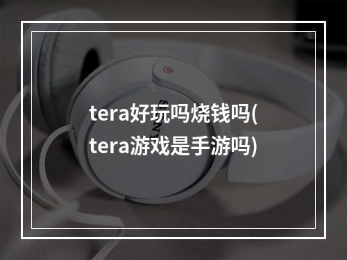 tera好玩吗烧钱吗(tera游戏是手游吗)