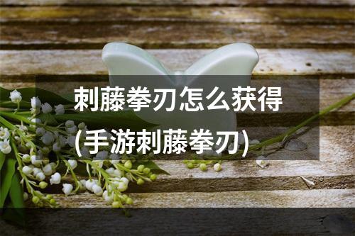 刺藤拳刃怎么获得(手游刺藤拳刃)