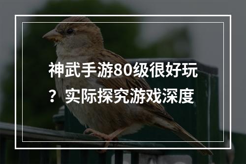 神武手游80级很好玩？实际探究游戏深度