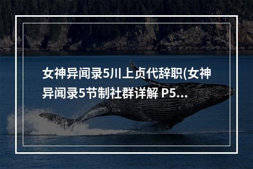 女神异闻录5川上贞代辞职(女神异闻录5节制社群详解 P5川上贞代COOP效果一览)