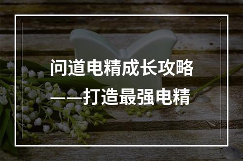 问道电精成长攻略——打造最强电精