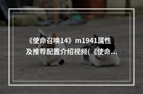 《使命召唤14》m1941属性及推荐配置介绍视频(《使命召唤14》M1941属性及推荐配置介绍)