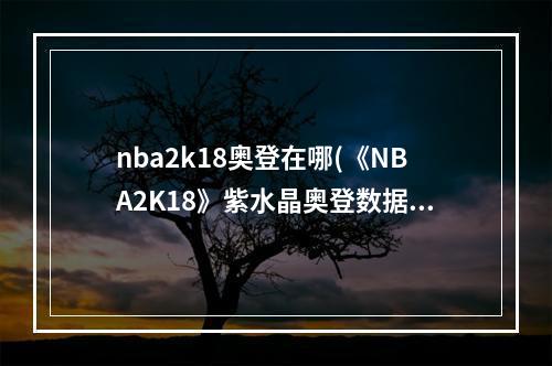 nba2k18奥登在哪(《NBA2K18》紫水晶奥登数据及徽章解析 紫水晶奥登有哪些徽章)