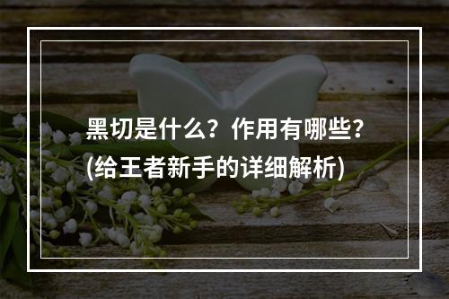 黑切是什么？作用有哪些？(给王者新手的详细解析)