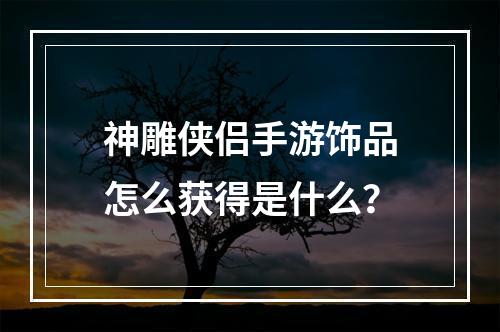 神雕侠侣手游饰品怎么获得是什么？