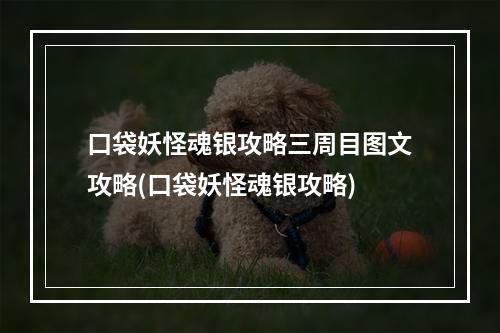 口袋妖怪魂银攻略三周目图文攻略(口袋妖怪魂银攻略)