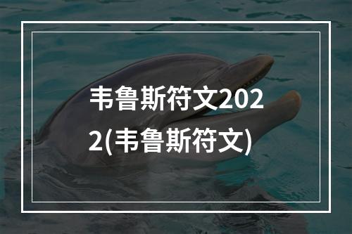 韦鲁斯符文2022(韦鲁斯符文)