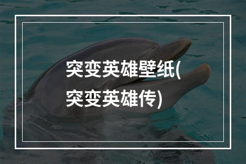 突变英雄壁纸(突变英雄传)