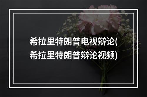 希拉里特朗普电视辩论(希拉里特朗普辩论视频)