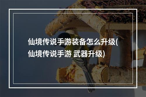 仙境传说手游装备怎么升级(仙境传说手游 武器升级)