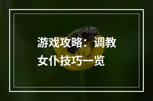 游戏攻略：调教女仆技巧一览